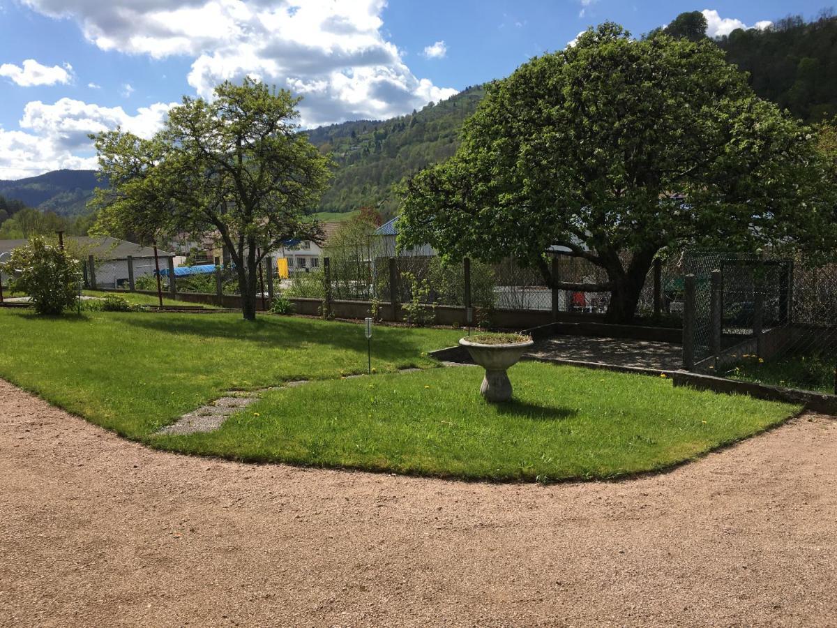 La Montagne Lägenhet La Bresse Exteriör bild