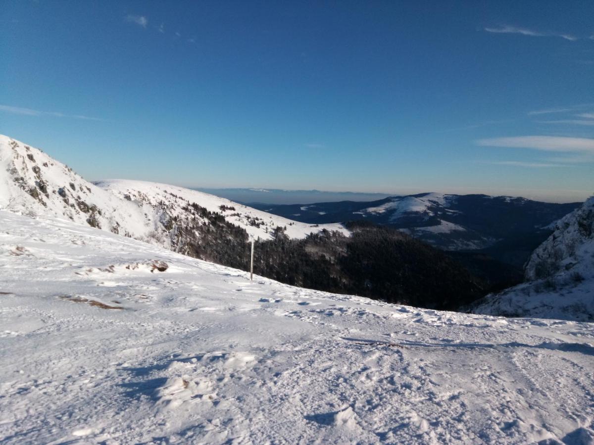 La Montagne Lägenhet La Bresse Exteriör bild