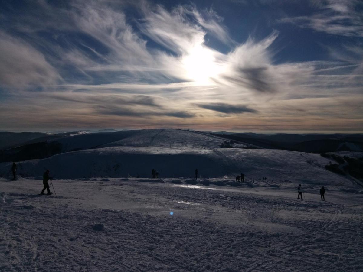 La Montagne Lägenhet La Bresse Exteriör bild